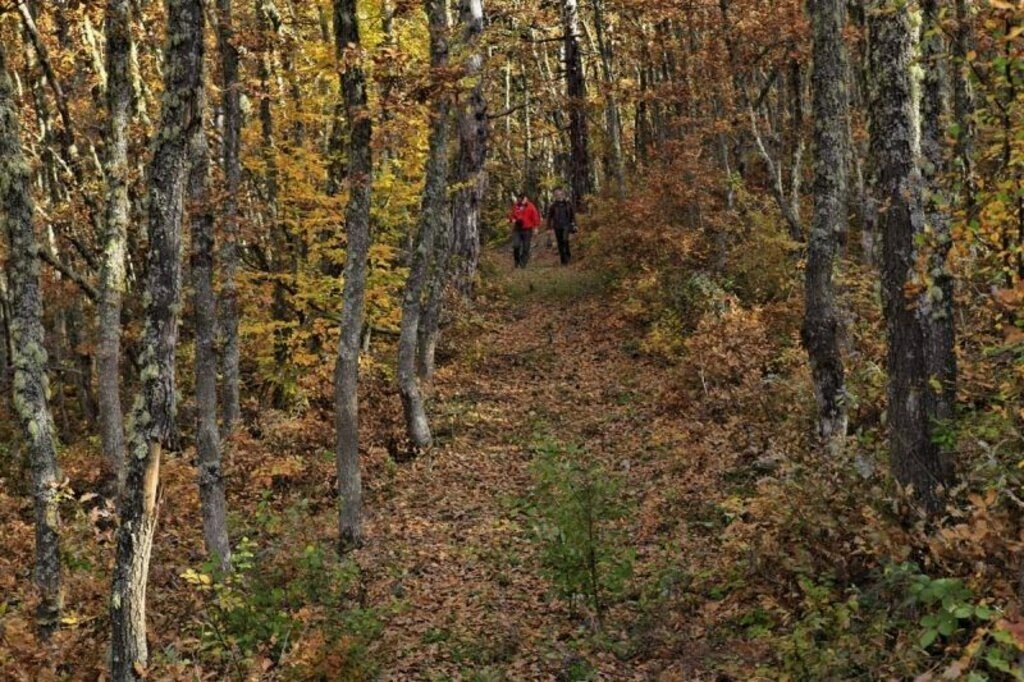 Karadeniz'de sonbahar bir başka güzel - Karadeniz'den sonbahar manzara fotoğrafları - Resim 4