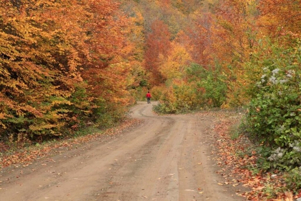 Karadeniz'de sonbahar bir başka güzel - Karadeniz'den sonbahar manzara fotoğrafları - Resim 7