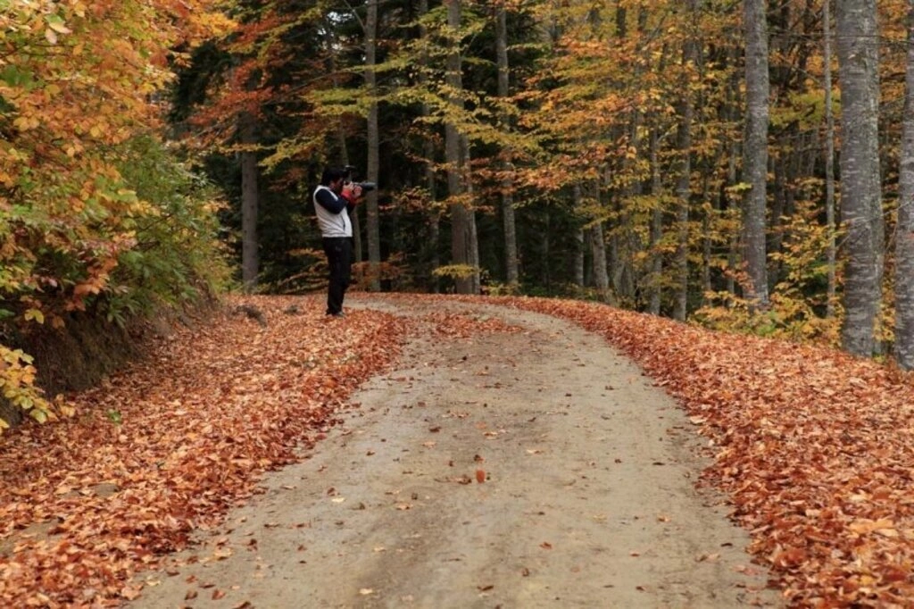 Karadeniz'de sonbahar bir başka güzel - Karadeniz'den sonbahar manzara fotoğrafları - Resim 11