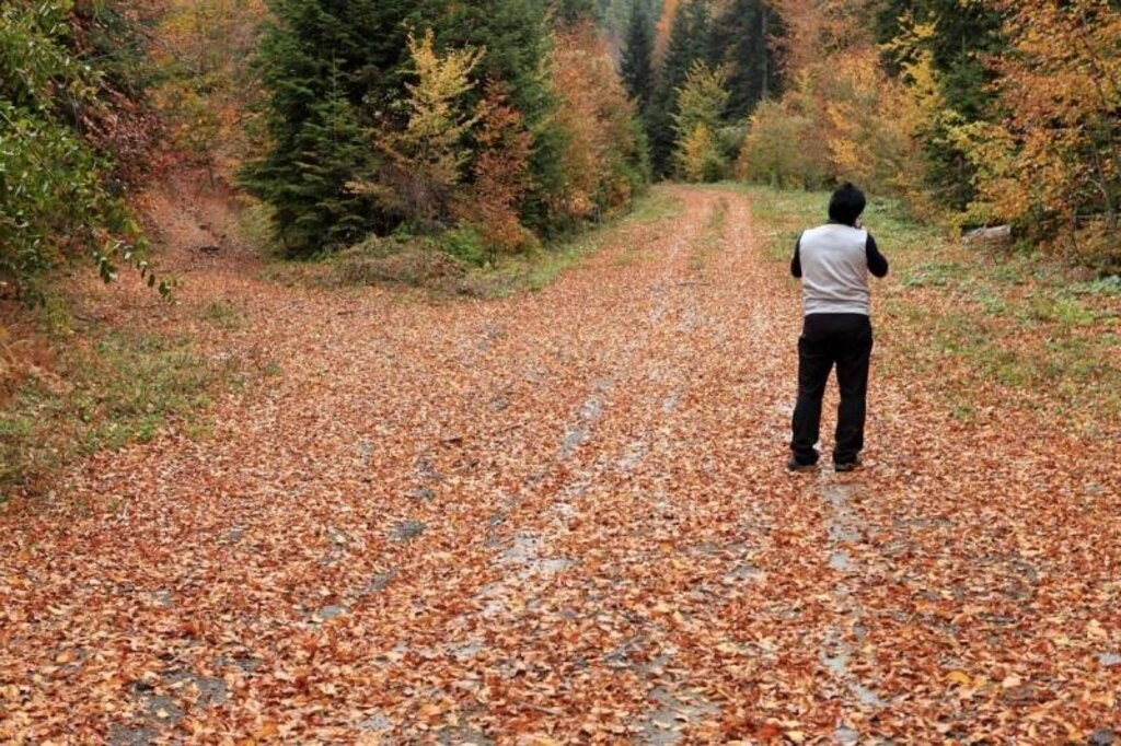 Karadeniz'de sonbahar bir başka güzel - Karadeniz'den sonbahar manzara fotoğrafları - Resim 13