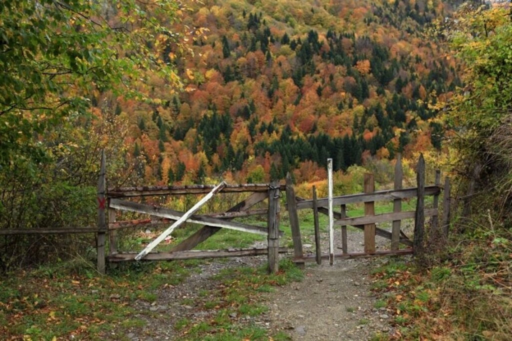 Karadeniz'de sonbahar bir başka güzel - Karadeniz'den sonbahar manzara fotoğrafları - Resim 15