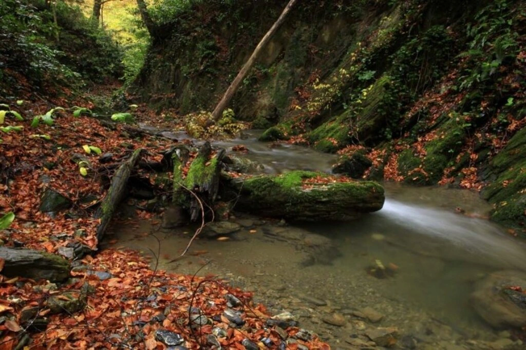 Karadeniz'de sonbahar bir başka güzel - Karadeniz'den sonbahar manzara fotoğrafları - Resim 17
