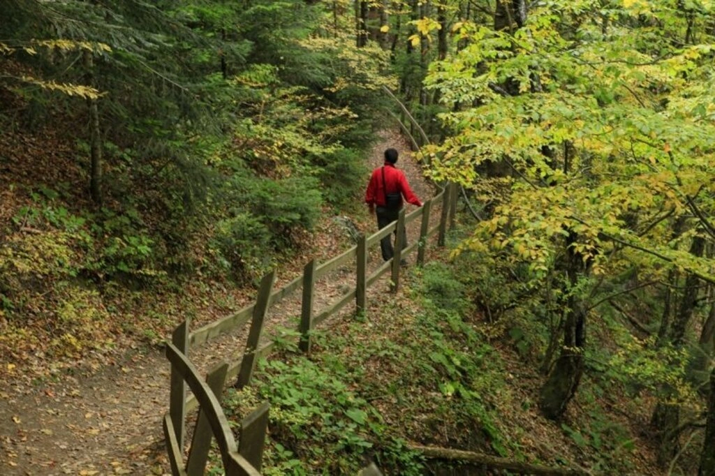 Karadeniz'de sonbahar bir başka güzel - Karadeniz'den sonbahar manzara fotoğrafları - Resim 18