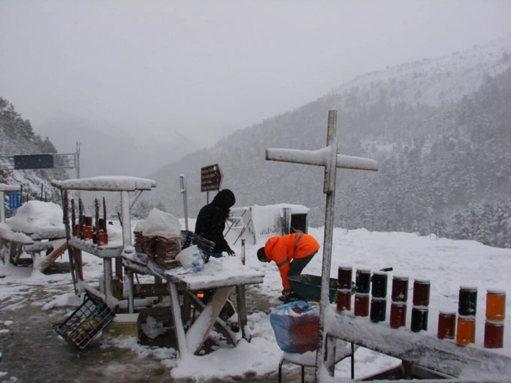 Karadeniz'den kar manzaraları , Zigana yine geçit veriyor... - Resim 10
