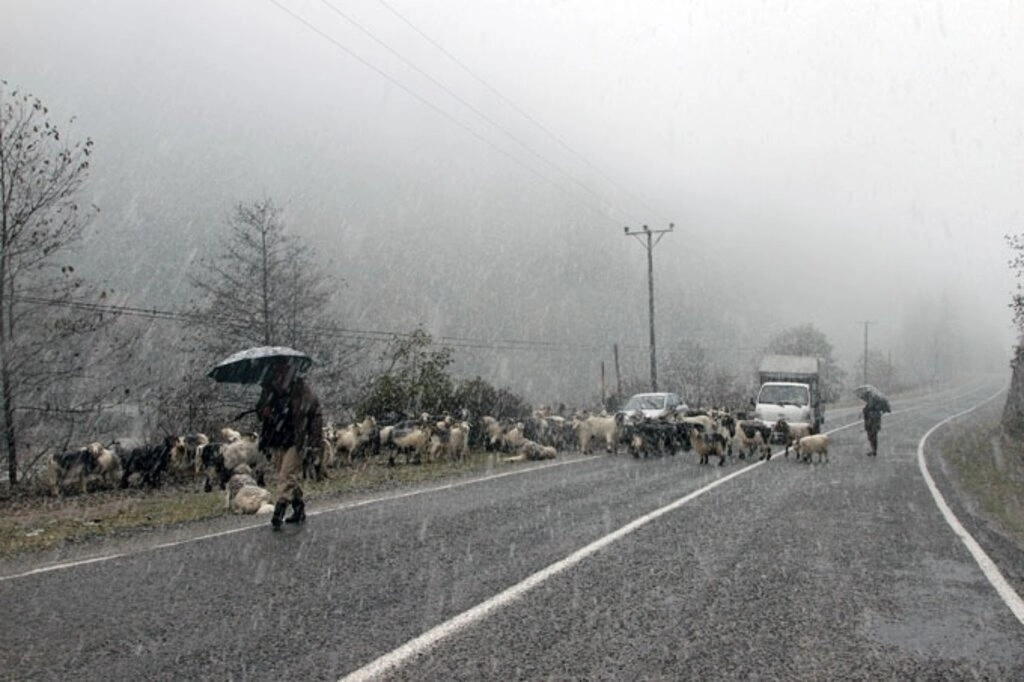 Karadeniz'den kar manzaraları , Zigana yine geçit veriyor... - Resim 19