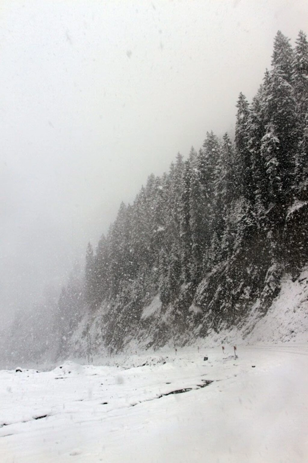 Karadeniz'den kar manzaraları , Zigana yine geçit veriyor... - Resim 28