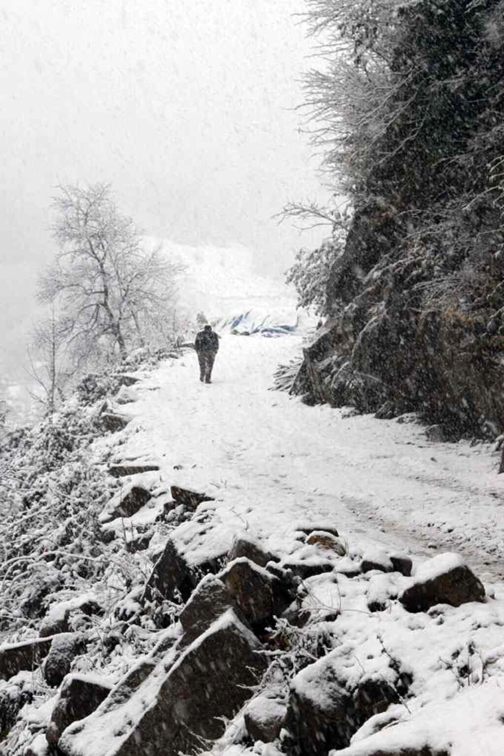 Karadeniz'den kar manzaraları , Zigana yine geçit veriyor... - Resim 38
