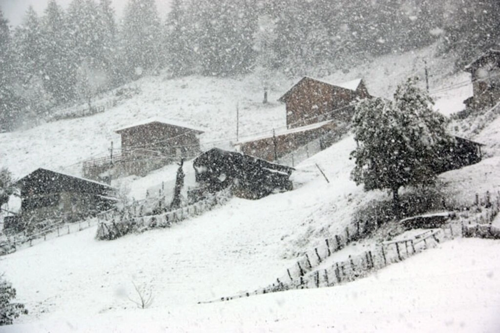 Karadeniz'den kar manzaraları , Zigana yine geçit veriyor... - Resim 44