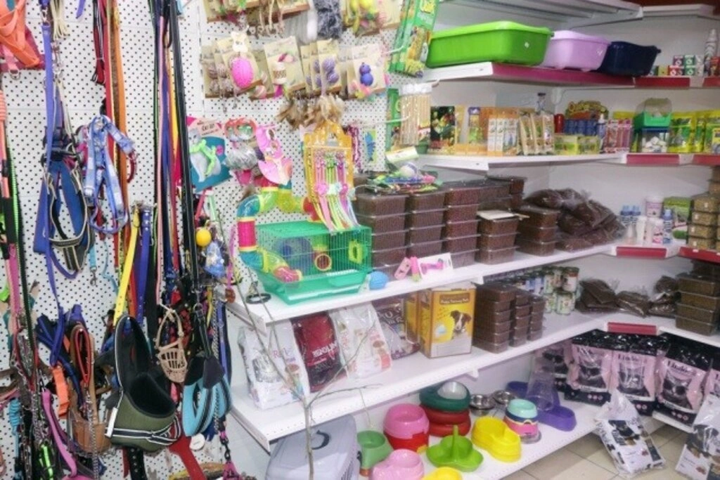 Kardelen Petshop hizmete girdi - Resim 2