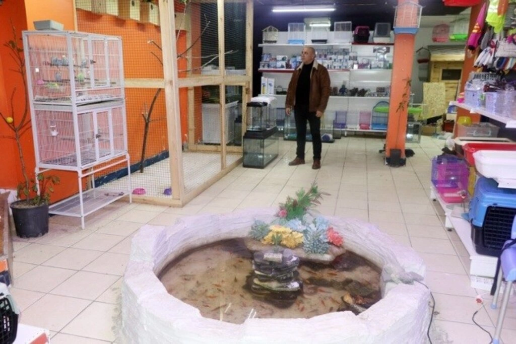 Kardelen Petshop hizmete girdi - Resim 5