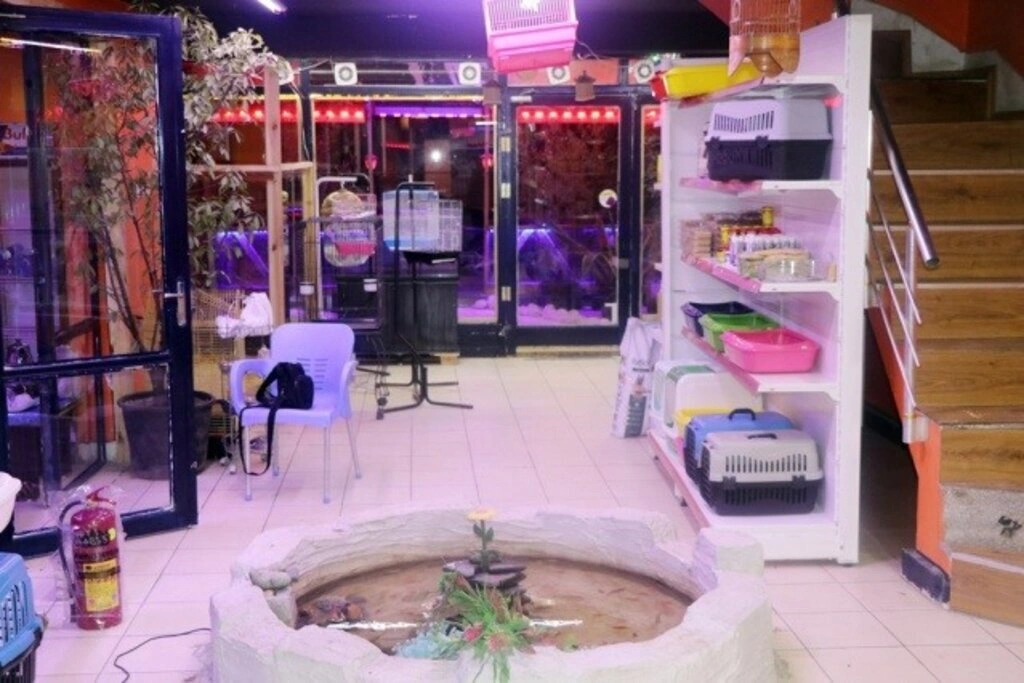 Kardelen Petshop hizmete girdi - Resim 7