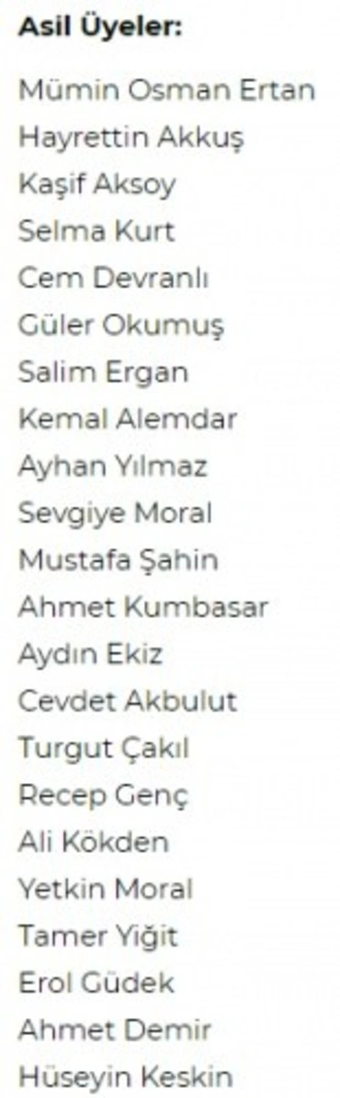 Terme AK Parti - MHP Belediye Meclis üyesi aday listesi - Resim 1