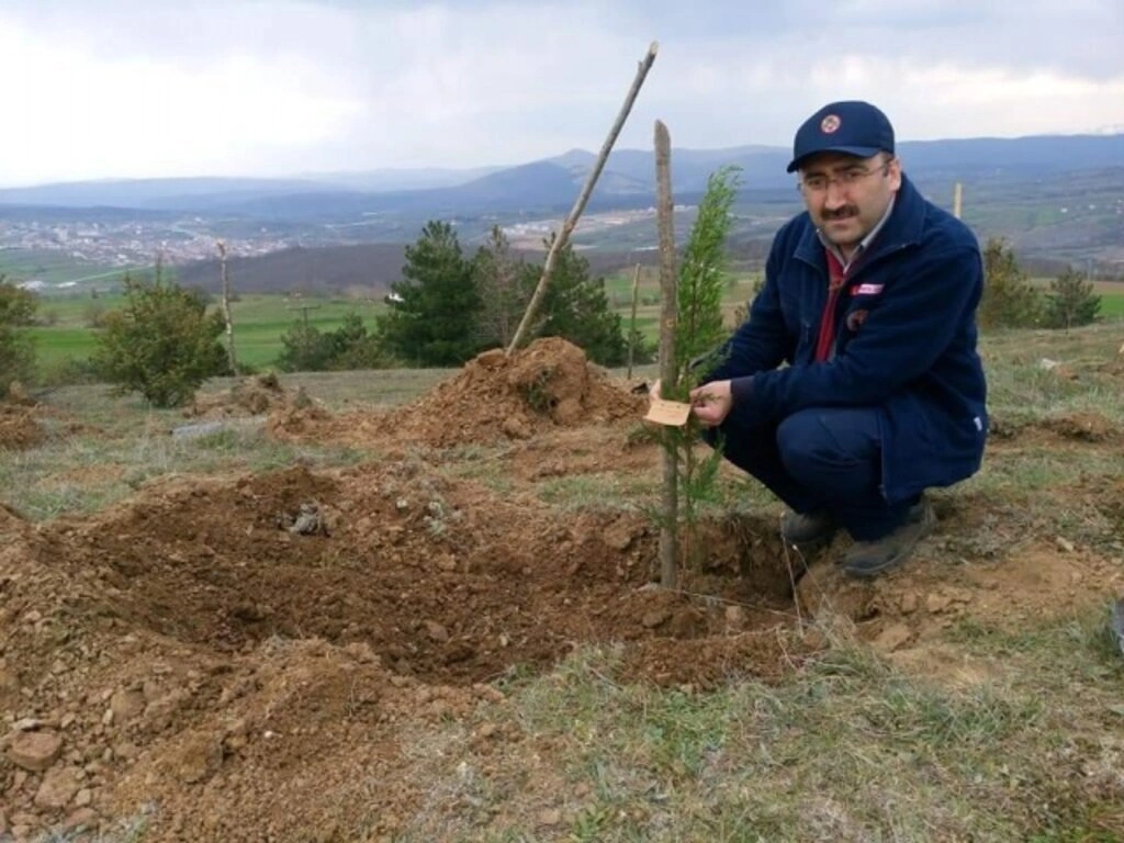 ÇEKUD'dan Samsun'a Yüzlerce Fidan - Resim 3