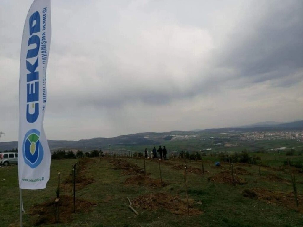 ÇEKUD'dan Samsun'a Yüzlerce Fidan - Resim 8