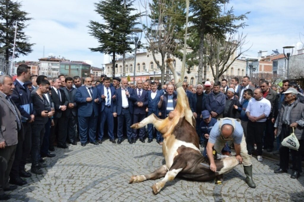 Havza Belediyesi'nde devir teslim töreni - Resim 6