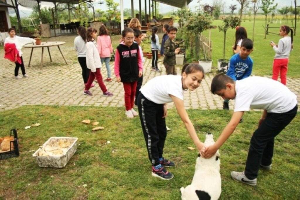 Lider Çocuk Tarım Kampı 2019 gerçekleşti - Resim 14
