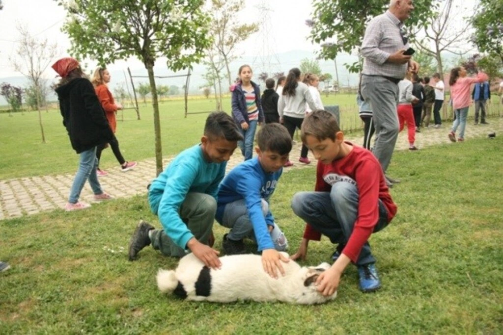 Lider Çocuk Tarım Kampı 2019 gerçekleşti - Resim 16