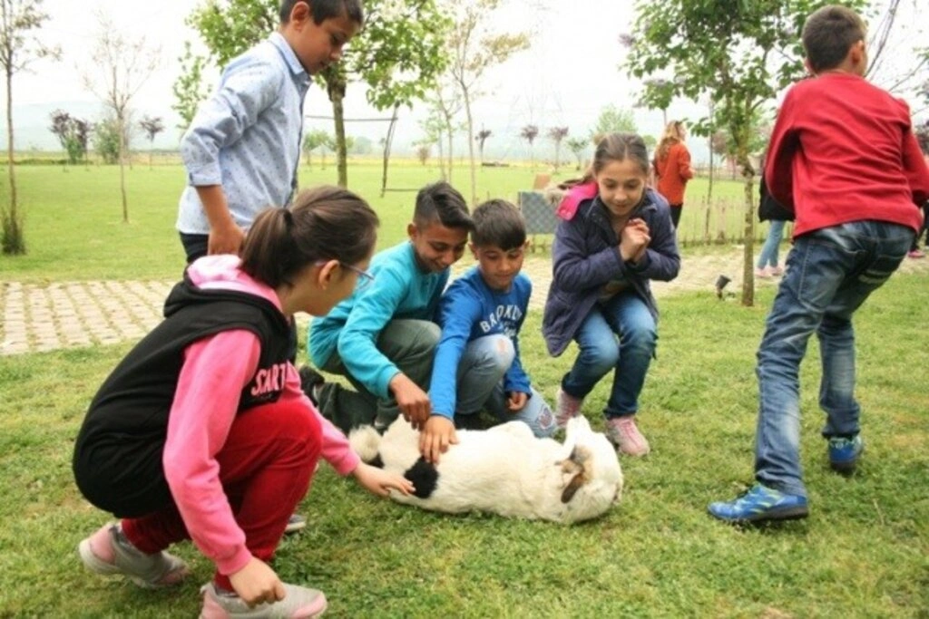 Lider Çocuk Tarım Kampı 2019 gerçekleşti - Resim 17