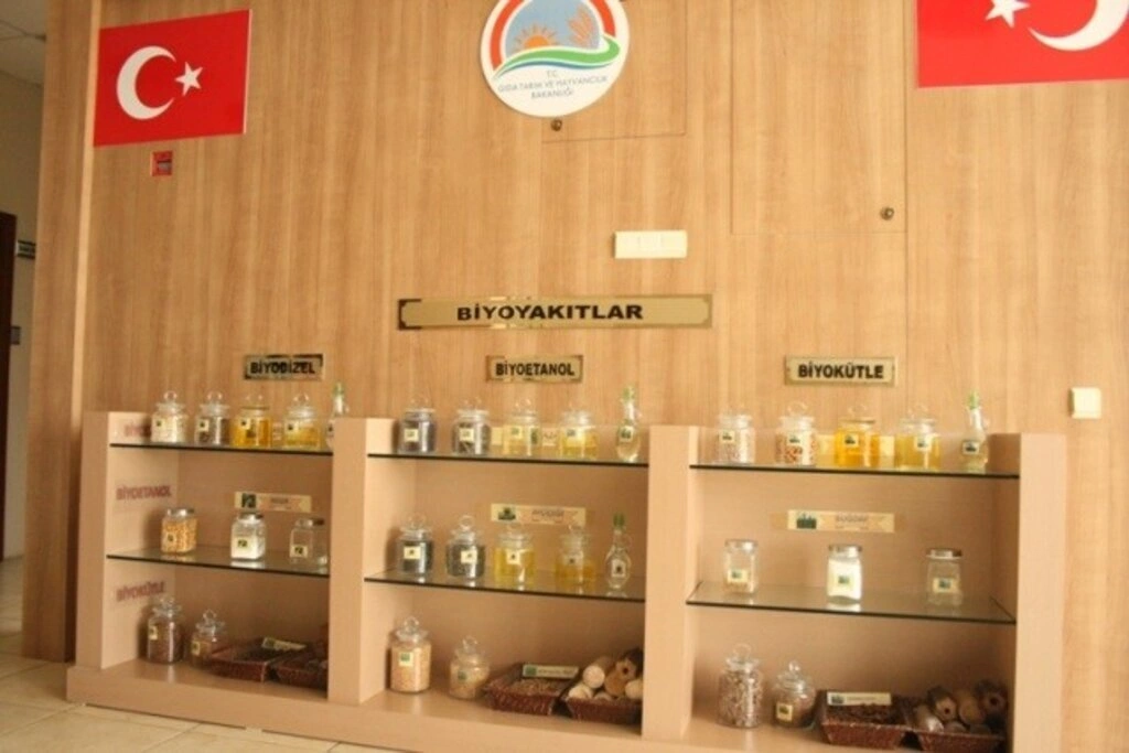 Lider Çocuk Tarım Kampı 2019 gerçekleşti - Resim 24