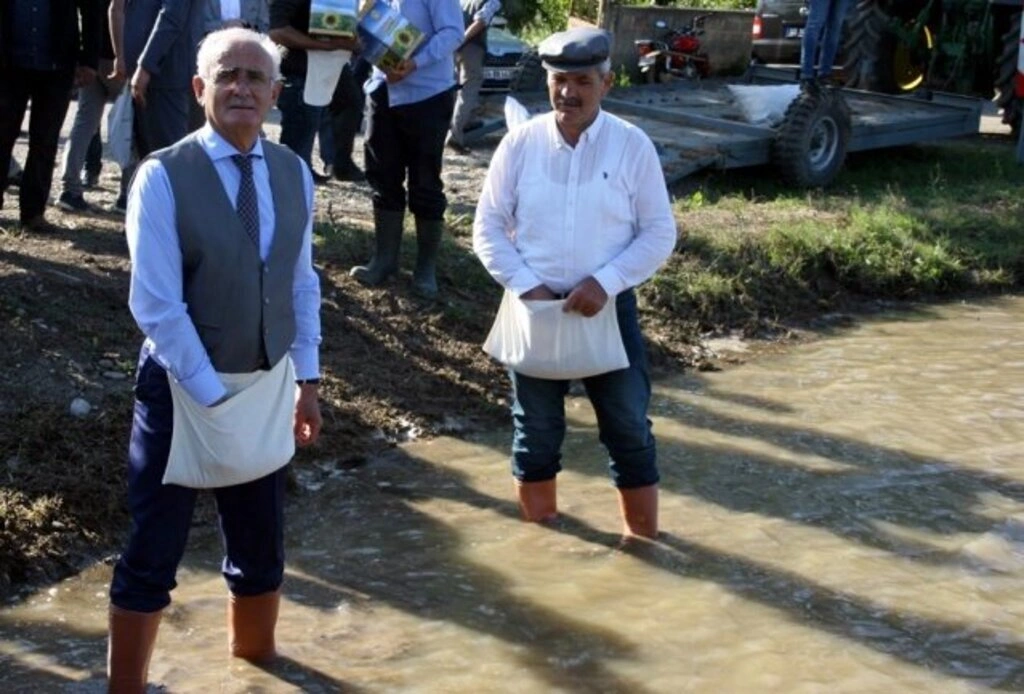 Bafra'da Geleneksel 5. Çeltik Ekimi Festivali yapıldı - Resim 7