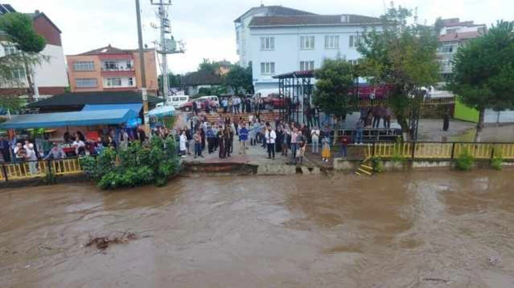Terme de sel seferberliği - Resim 2