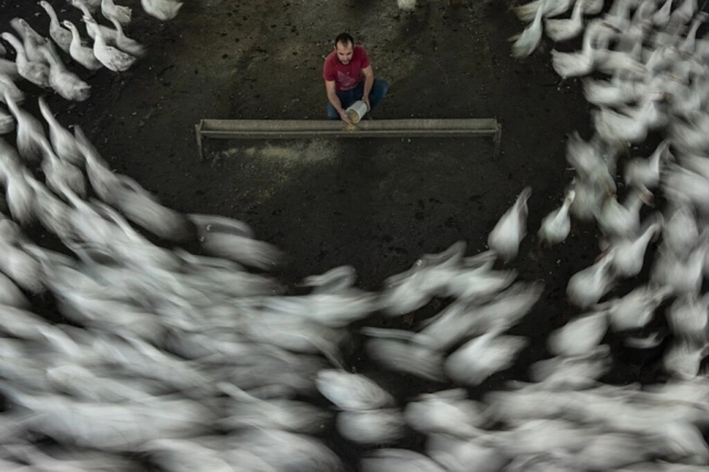 Nebiyan Doğa Festivali Fotoğraf Yarışması Sonuçlandı - Resim 1