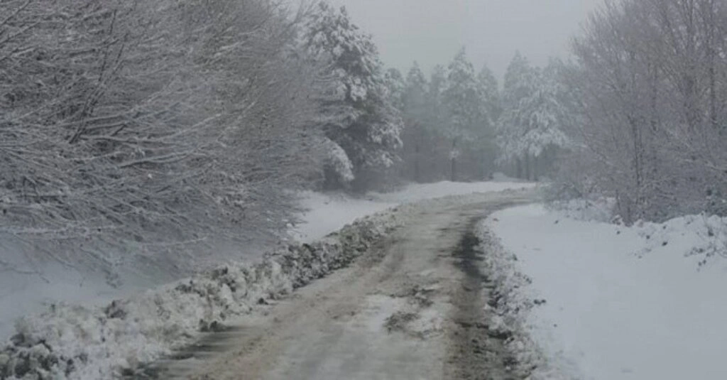Samsun'da kar ile mücade başladı - Resim 2