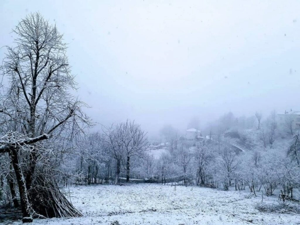Samsun'da kar ile mücade başladı - Resim 6