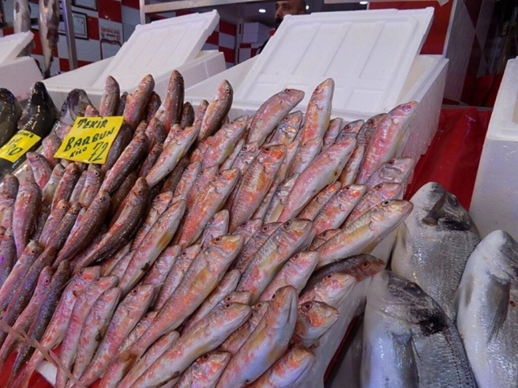 Samsun'da balık fiyatları - Resim 4