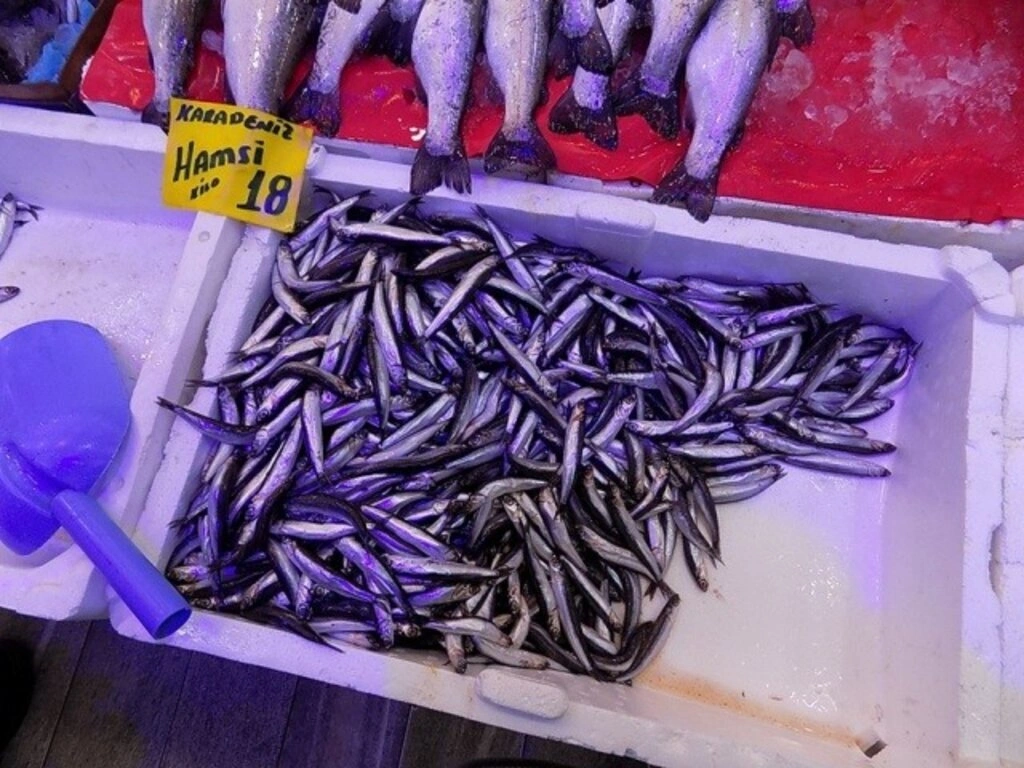 Samsun'da balık fiyatları - Resim 5