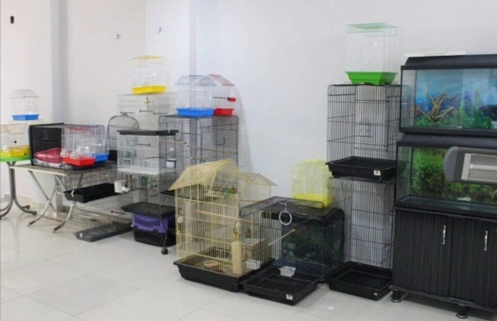 İz Kardelen Petshop Atakum'da - Resim 2