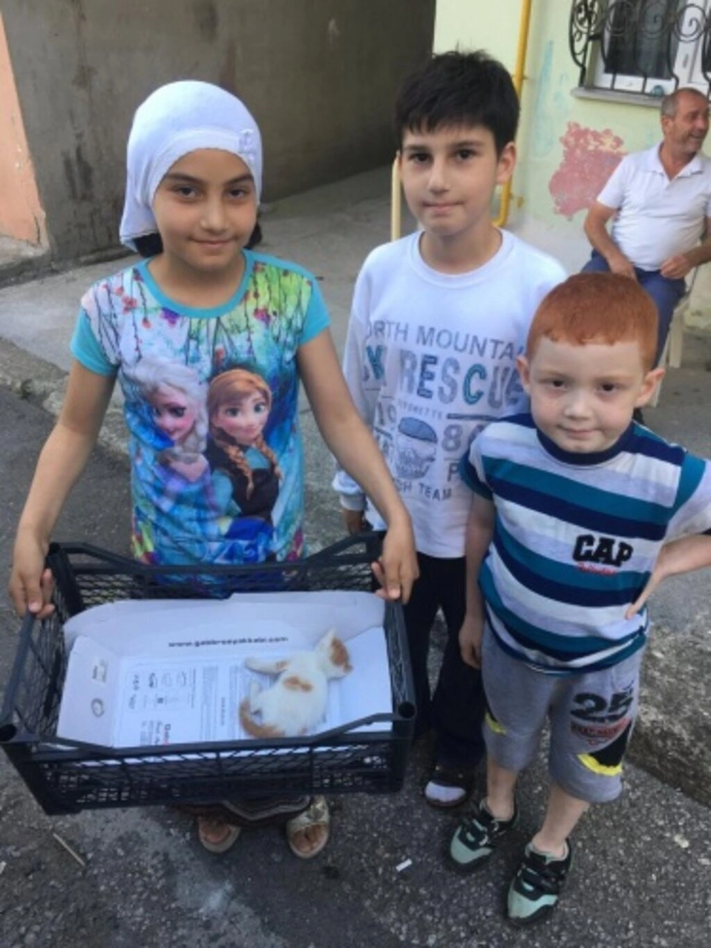 Sokak Hayvanları İçin Duyarlılık Çağrısı - Resim 3