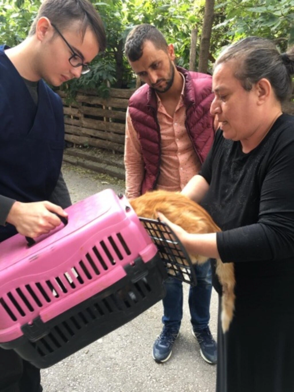 Sokak Hayvanları İçin Duyarlılık Çağrısı - Resim 6