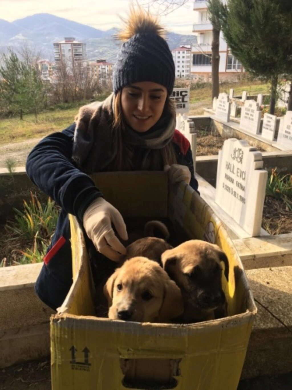 Sokak Hayvanları İçin Duyarlılık Çağrısı - Resim 7