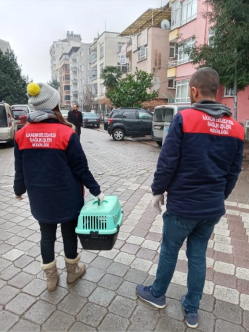 Sokak Hayvanları İçin Duyarlılık Çağrısı - Resim 1