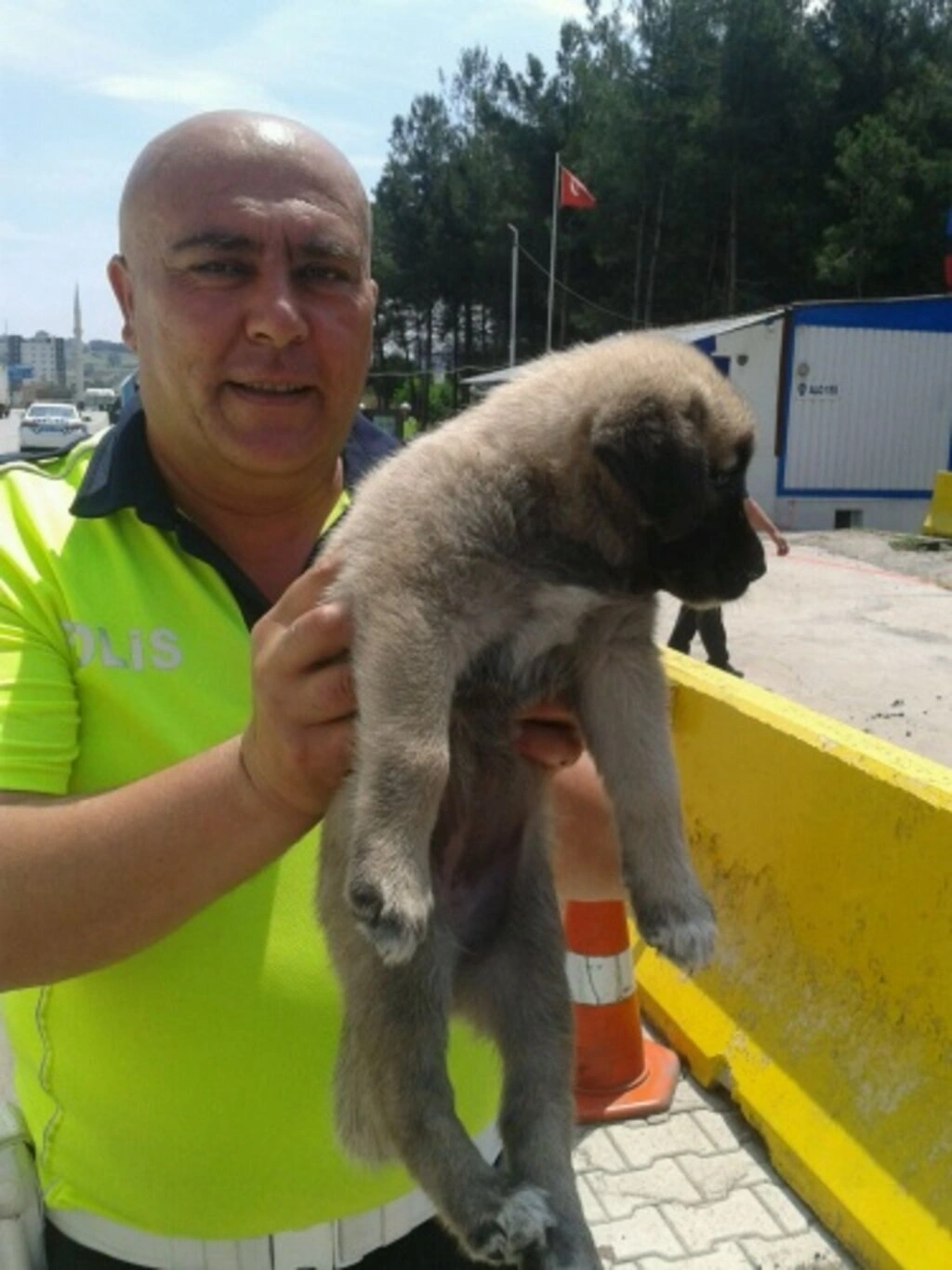 Sokak Hayvanları İçin Duyarlılık Çağrısı - Resim 8