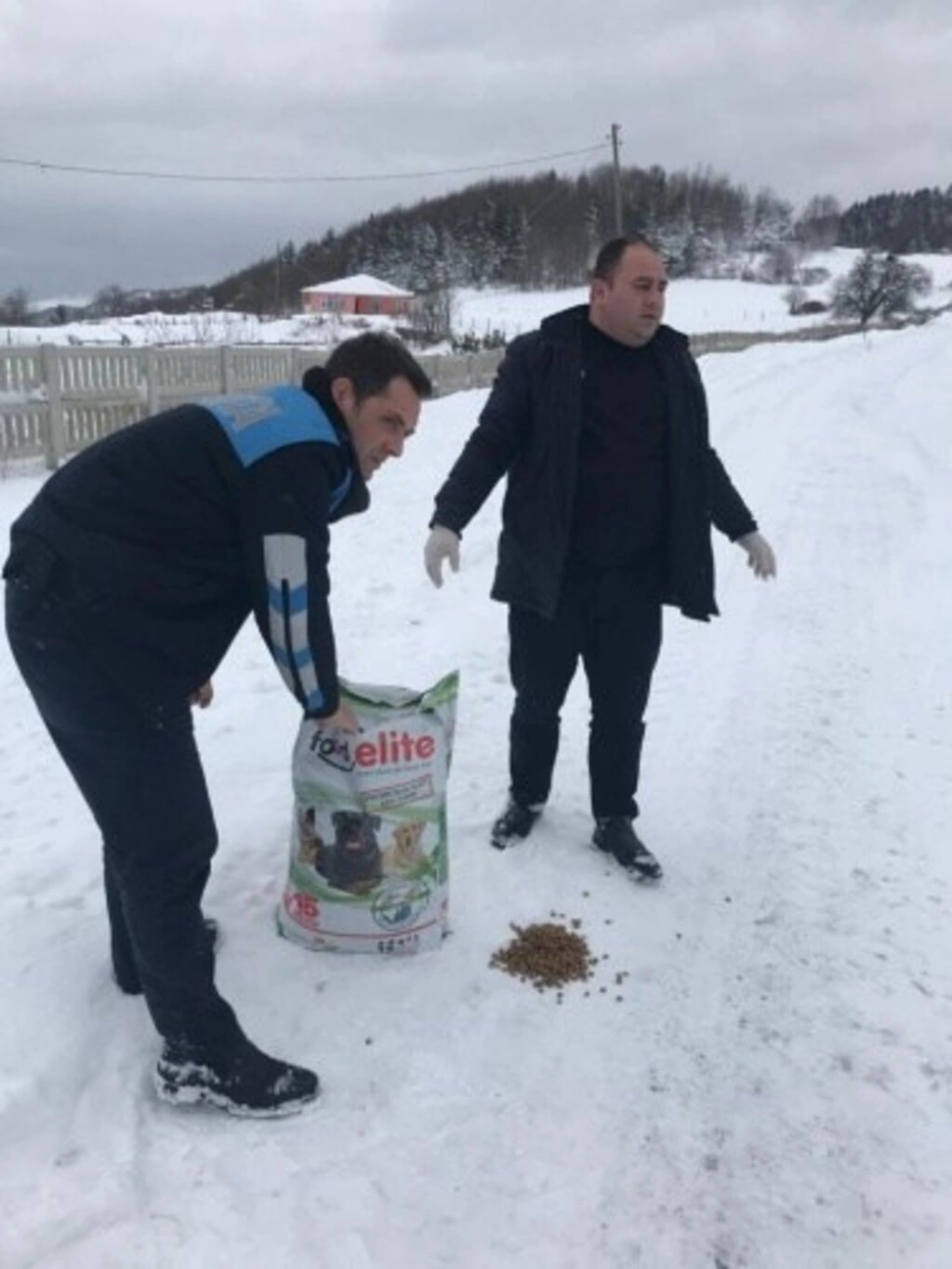 Alaçam Belediyesinden Sokak Hayvanlarına Yardım - Resim 2