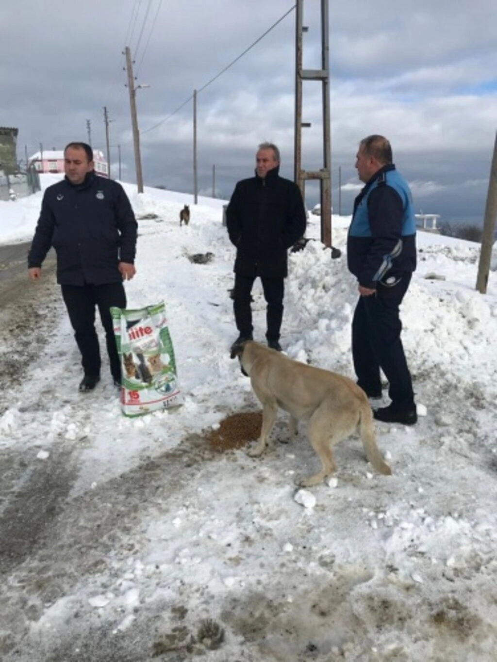 Alaçam Belediyesinden Sokak Hayvanlarına Yardım - Resim 6