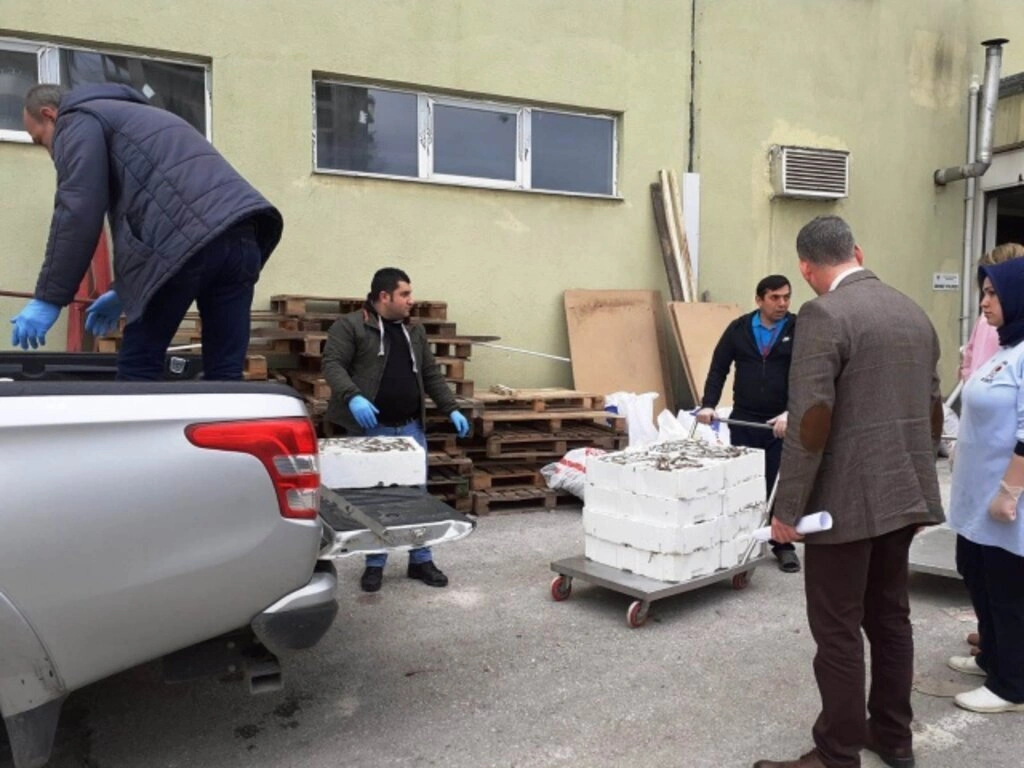 Yasa dışı Su Ürünleri Avcılığıyla Mücadele Denetimleri - Resim 2
