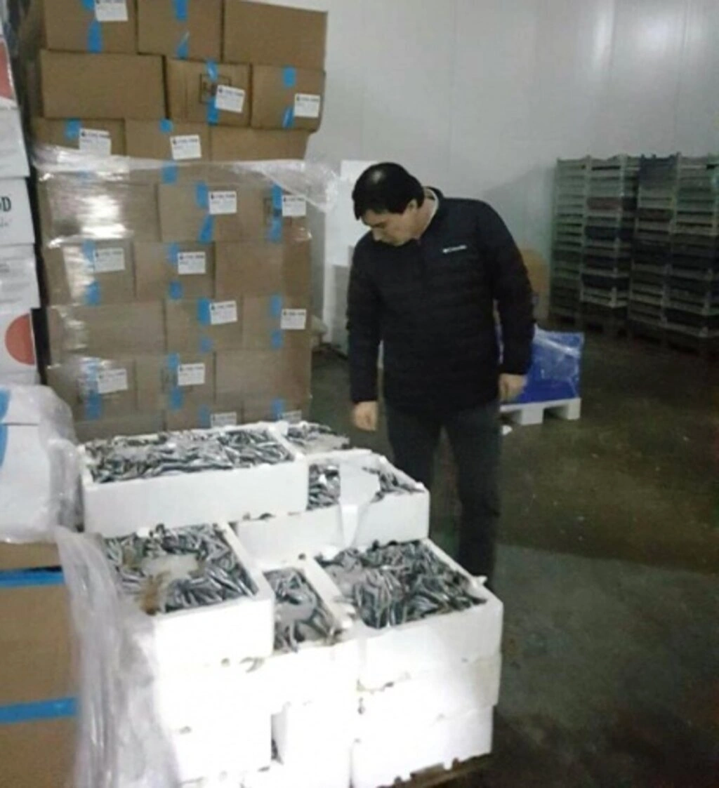 Yasa dışı Su Ürünleri Avcılığıyla Mücadele Denetimleri - Resim 6