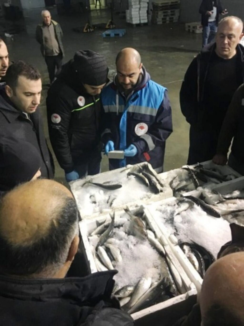 Yasa dışı Su Ürünleri Avcılığıyla Mücadele Denetimleri - Resim 11