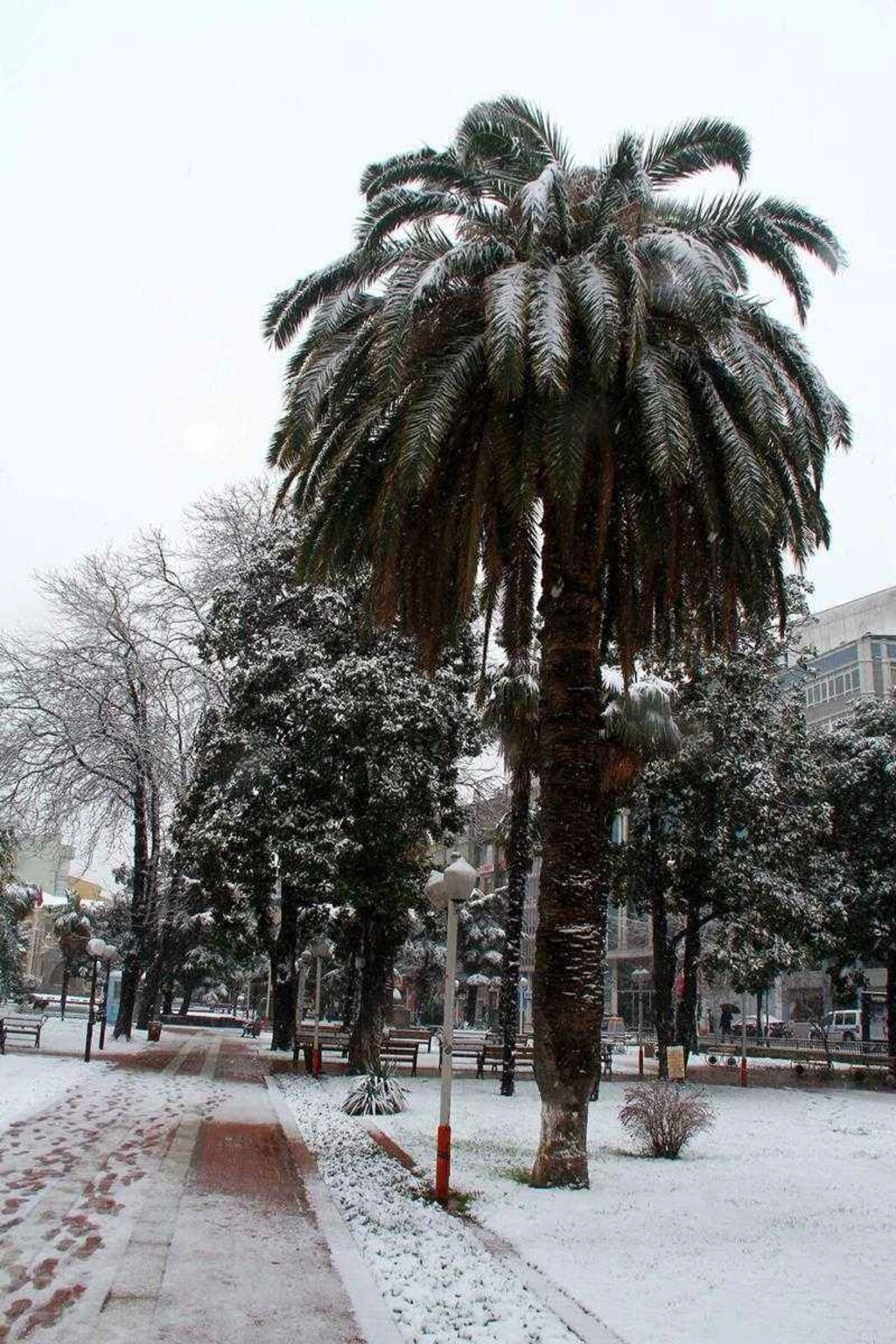Samsundan kar manzaraları - Resim 7