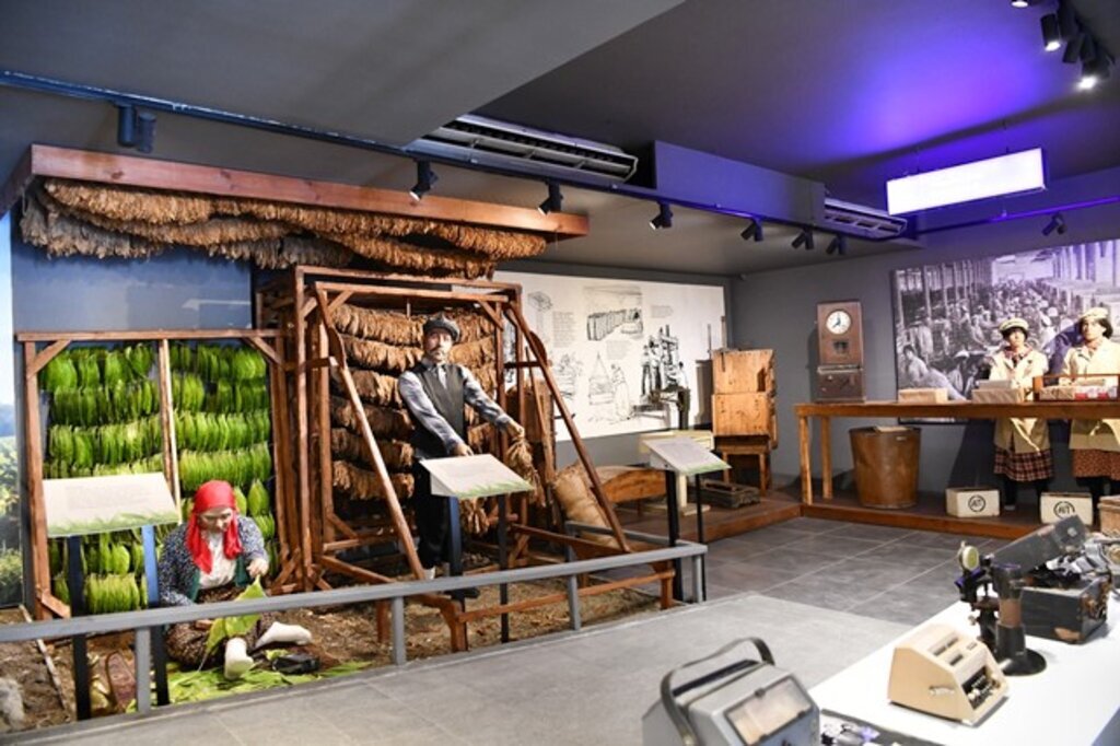 Samsun çok sayıda müzeye ev sahipliği yapmasıyla da dikkat çekiyor