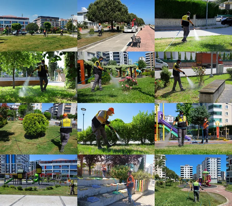 Büyükşehir Belediyesi Samsun'da vektörlerle mücadele ediyor Büyükşehir Belediyesi Samsun'da vektörlerle mücadele ediyor