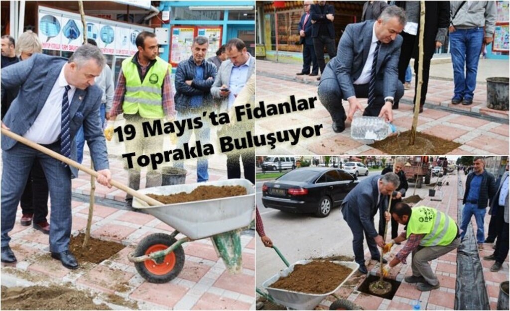 19 Mayıs’ta 400 Fidan Toprakla Buluşacak
