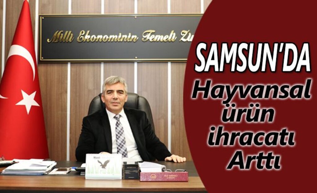 Samsun’da Hayvansal Ürün İhracatı Arttı