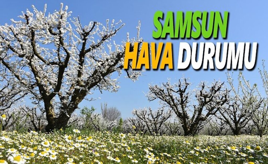 11 Mart Pazartesi Samsun Hava Durumu