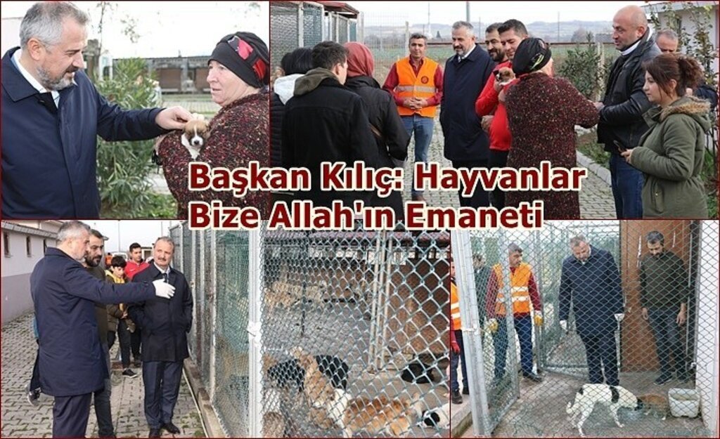 Başkan Kılıç: Hayvanlar Bize Allah'ın Emaneti
