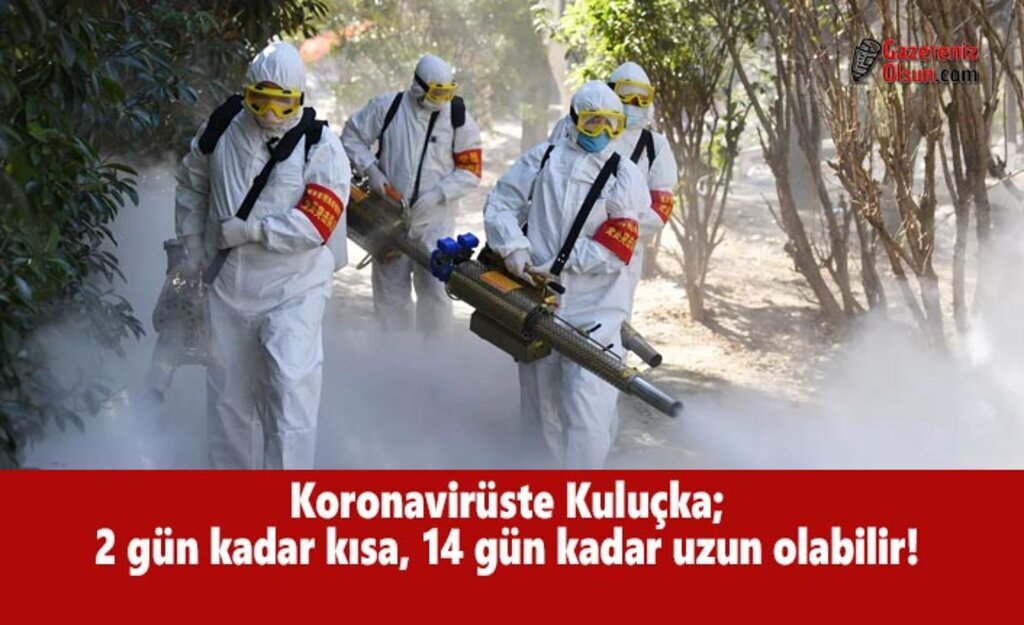Koronavirüste Kuluçka; 2 Gün Kadar Kısa, 14 Gün Kadar Uzun Olabilir!