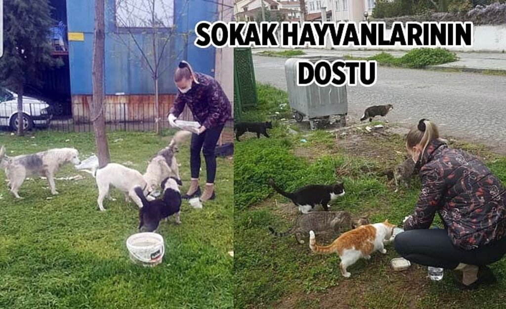 Samsun'da iş kadını sokak hayvanlarını besleyerek örnek davranış sergiliyor